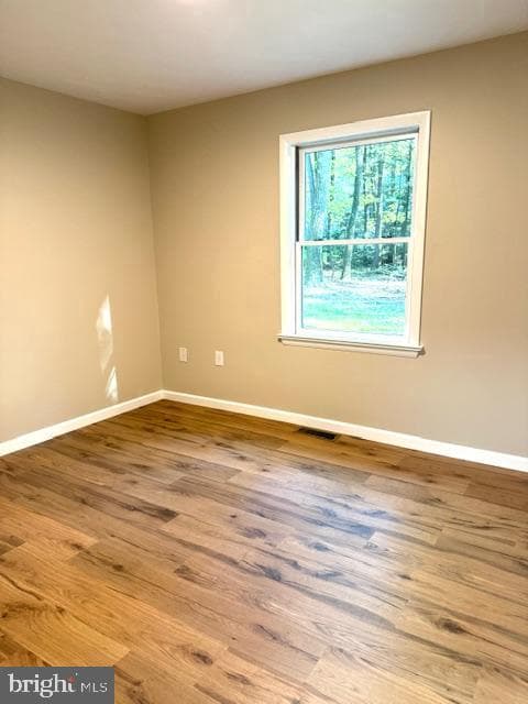 181 Lutz Lane photo 12