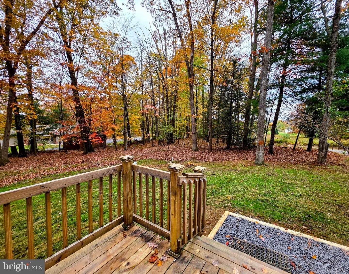181 Lutz Lane photo 4