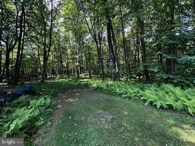 538 Two Mile Road photo 13