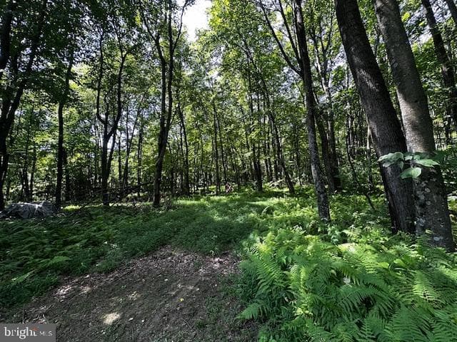 538 Two Mile Road photo 14