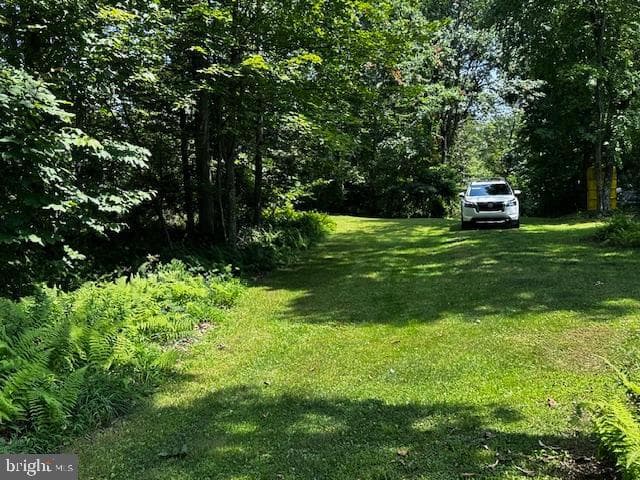 538 Two Mile Road photo 15