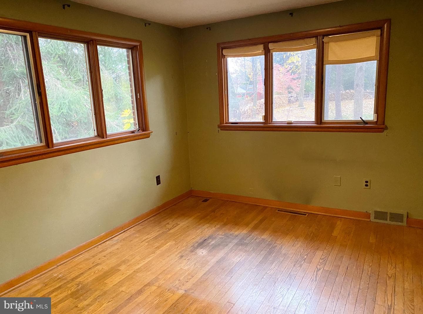 130 W Whitehall Road photo 23