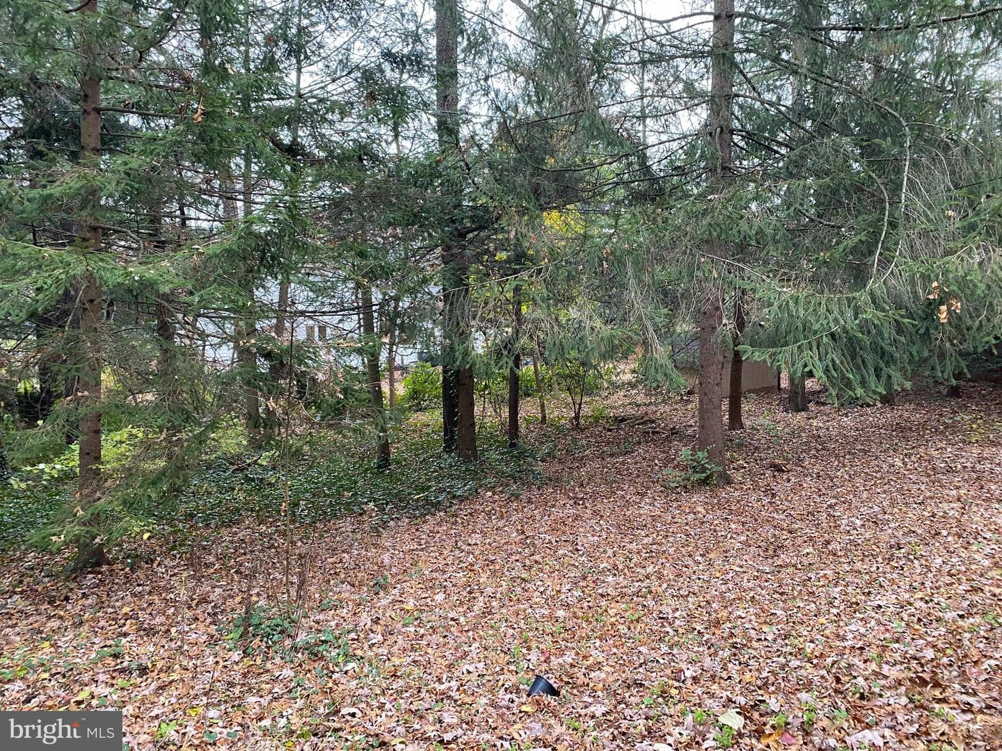 130 W Whitehall Road photo 31
