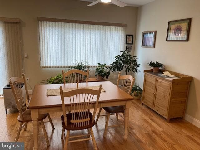 362 Meadow Flower Circle photo 13
