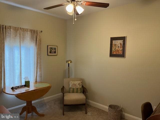 362 Meadow Flower Circle photo 6