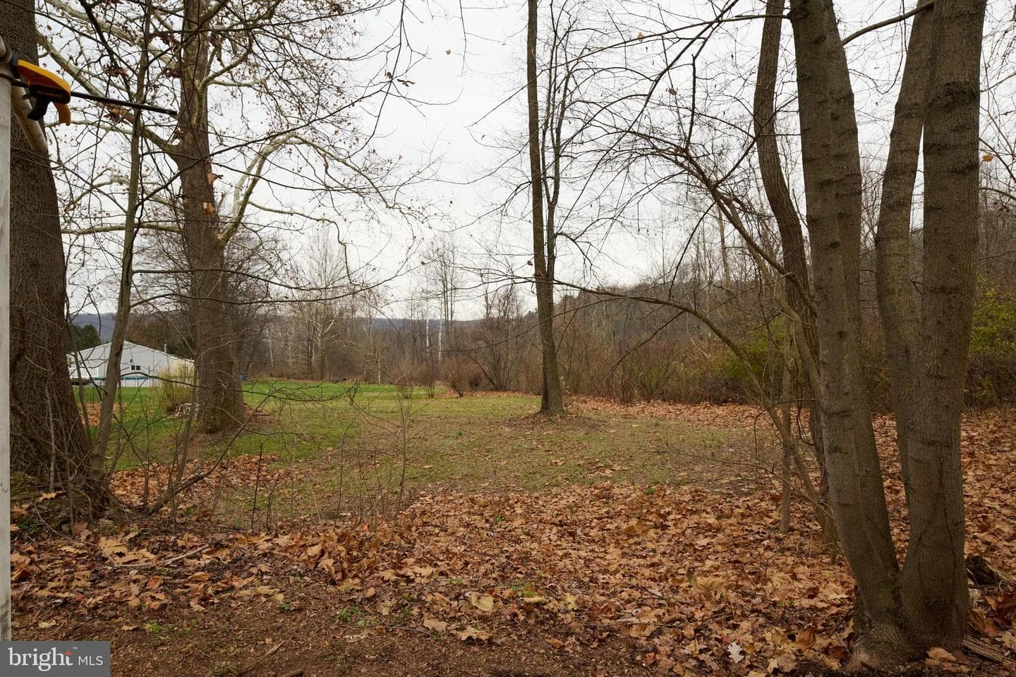 744 Runville Road photo 42