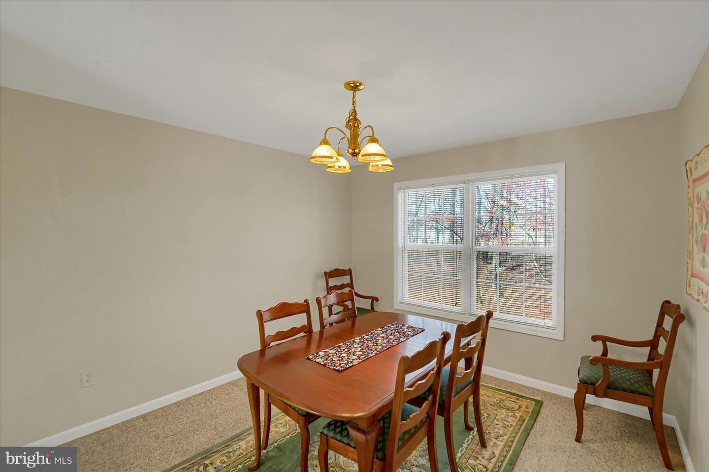 100 Forest Glen Circle photo 14
