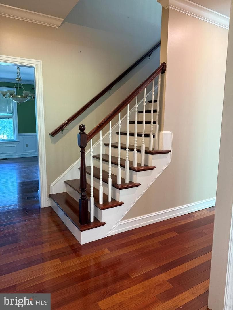 171 Manhasset Drive photo 35