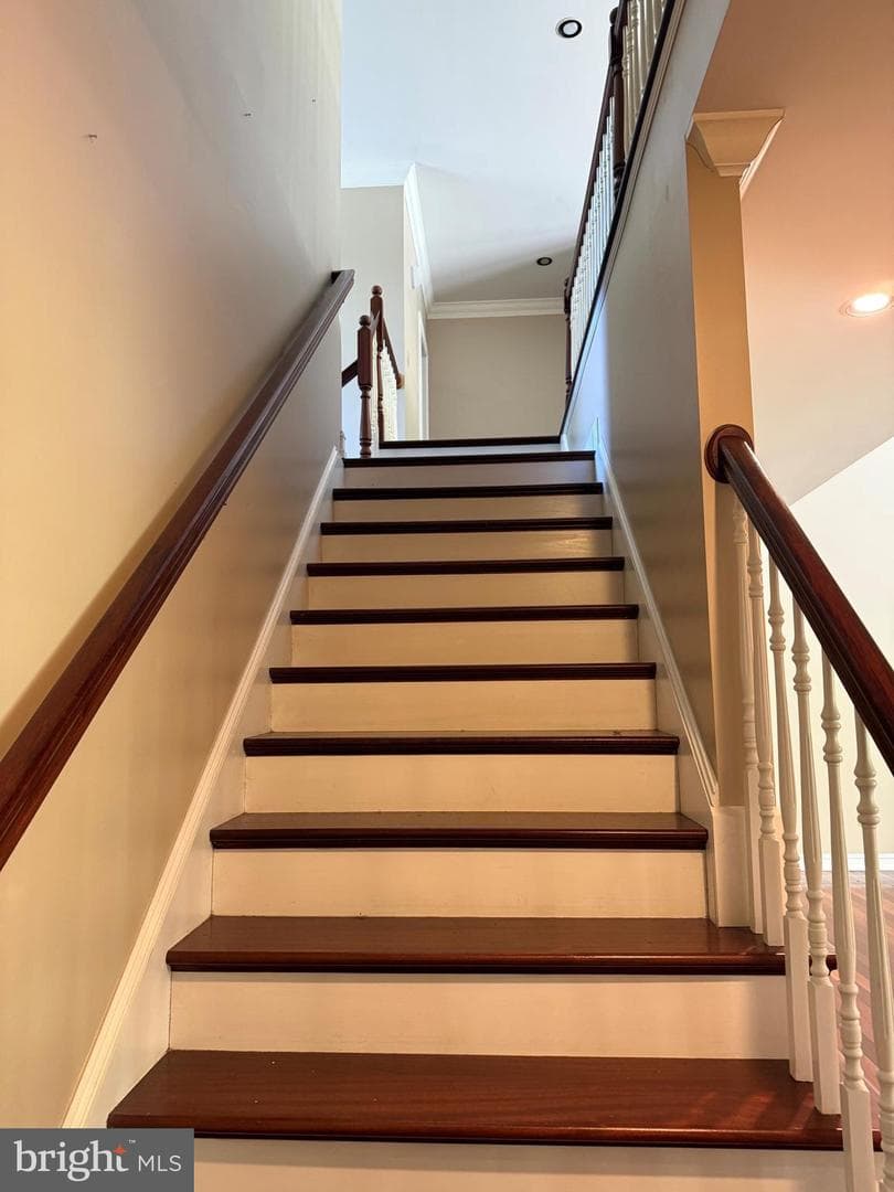 171 Manhasset Drive photo 41
