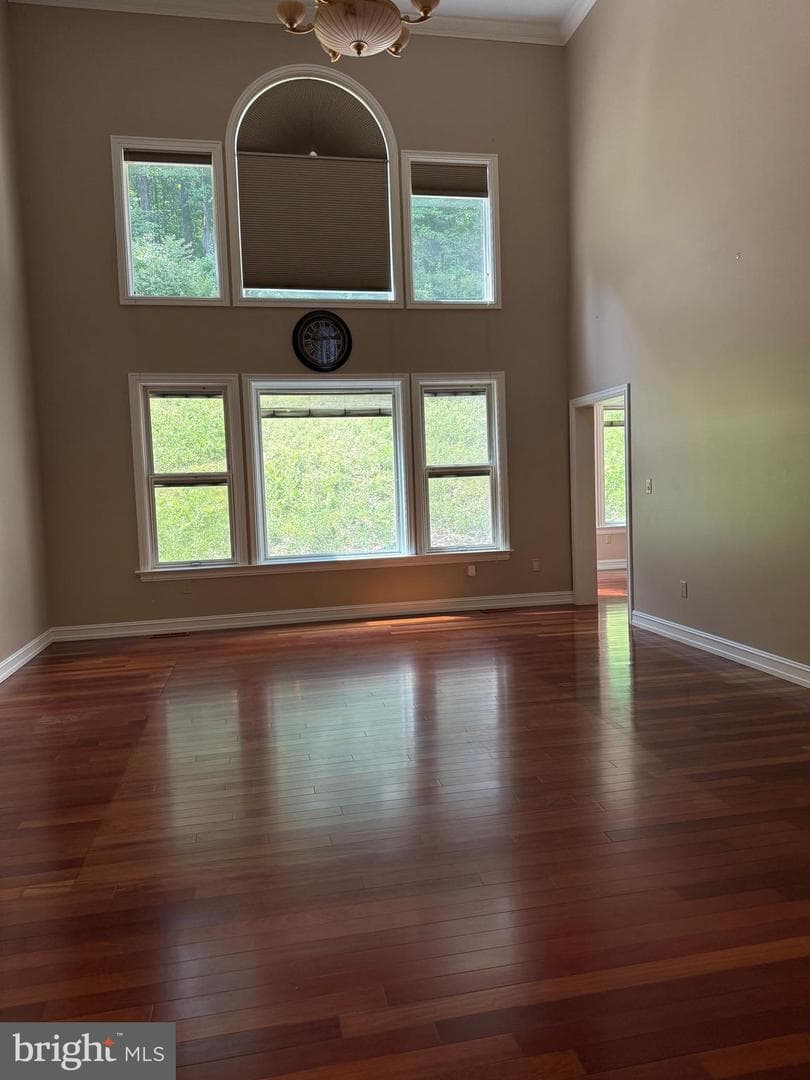 171 Manhasset Drive photo 5