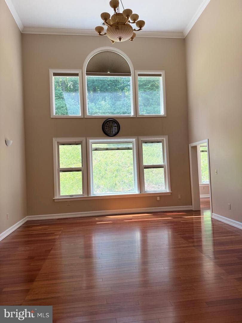 171 Manhasset Drive photo 51