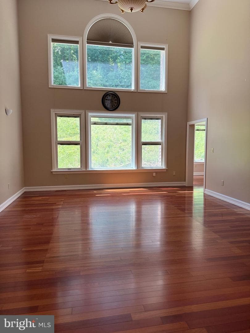 171 Manhasset Drive photo 59
