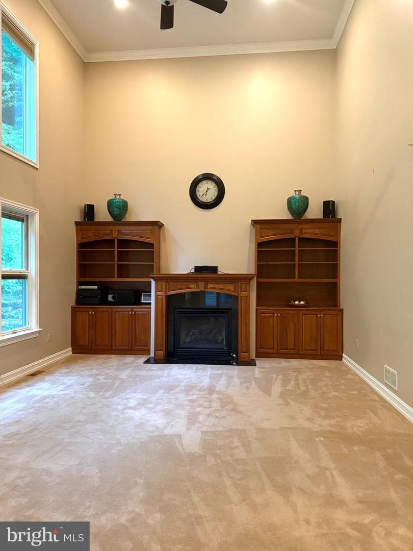171 Manhasset Drive photo 63