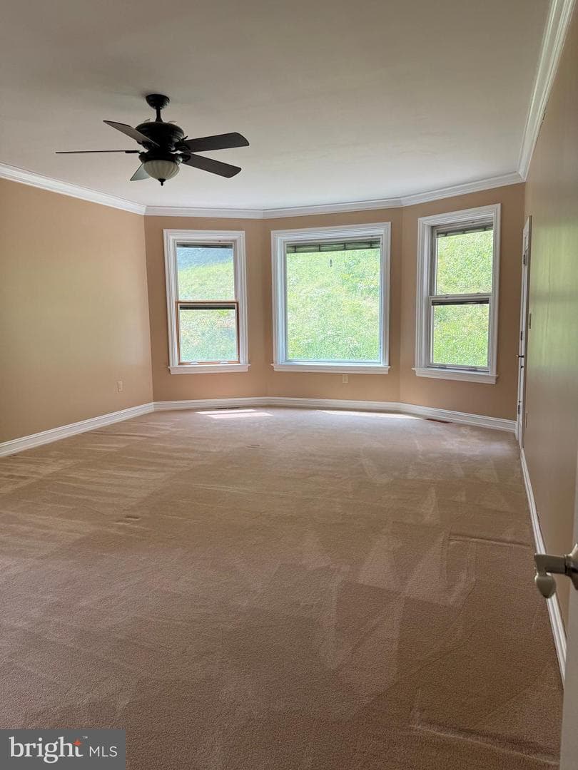 171 Manhasset Drive photo 7