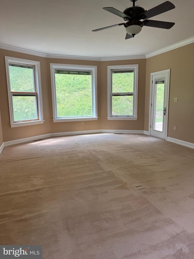 171 Manhasset Drive photo 8