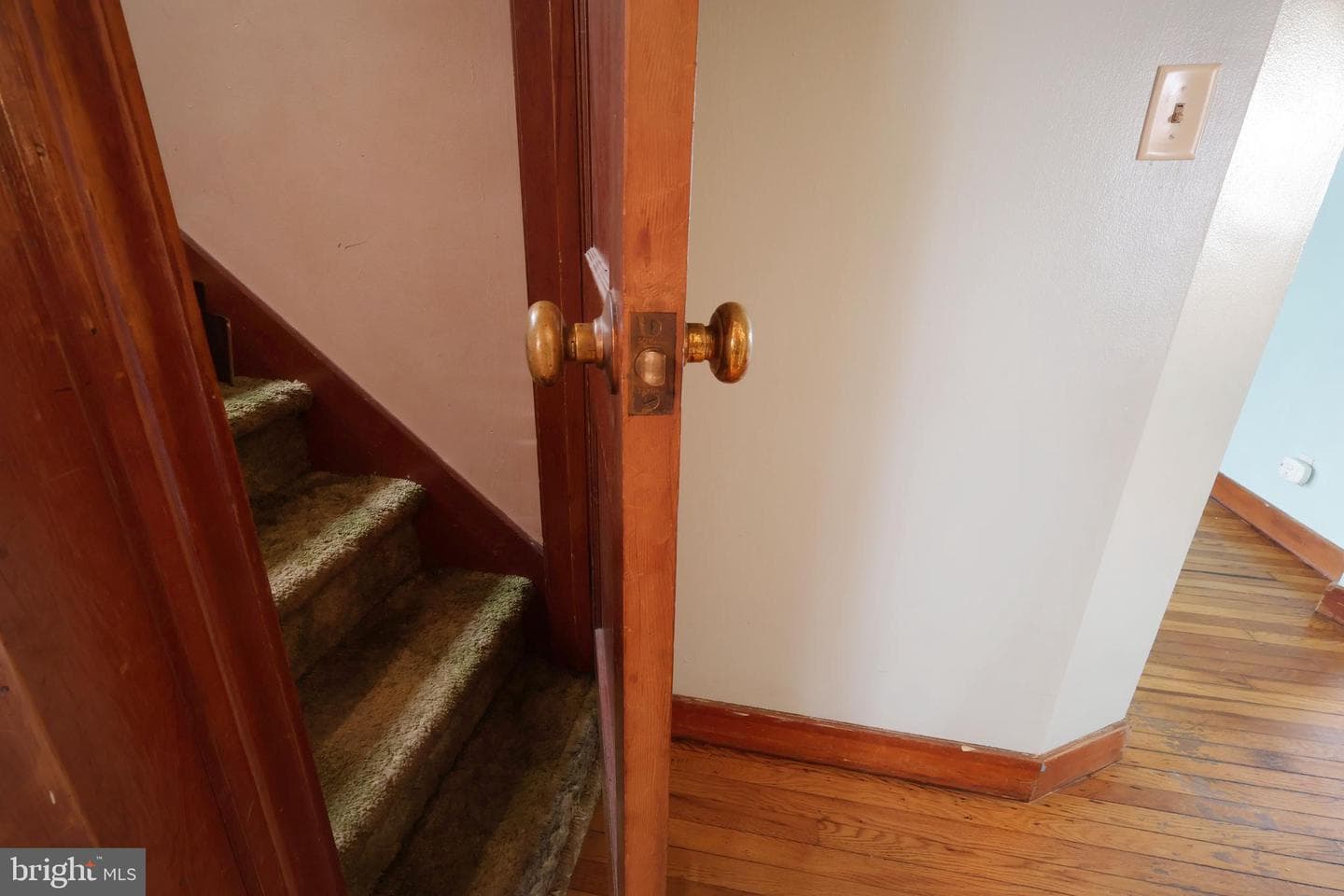 121 Harvey Street photo 22