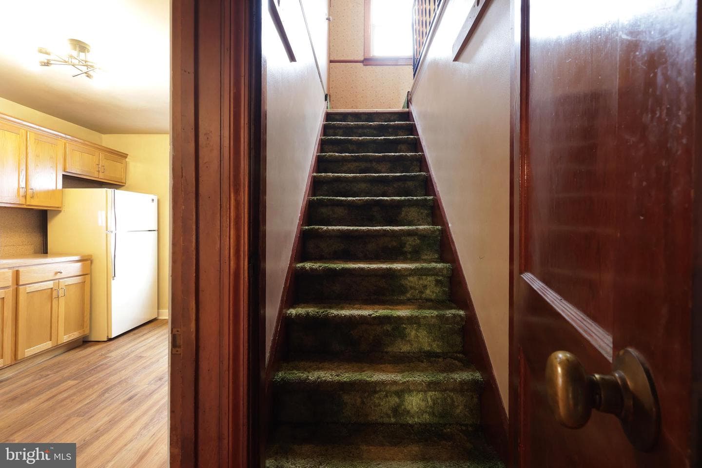 121 Harvey Street photo 23
