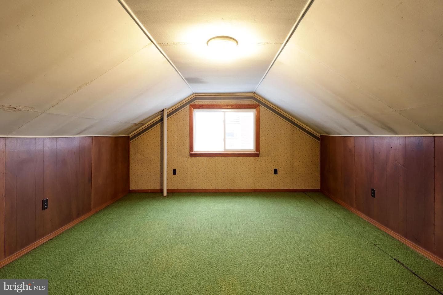 121 Harvey Street photo 25