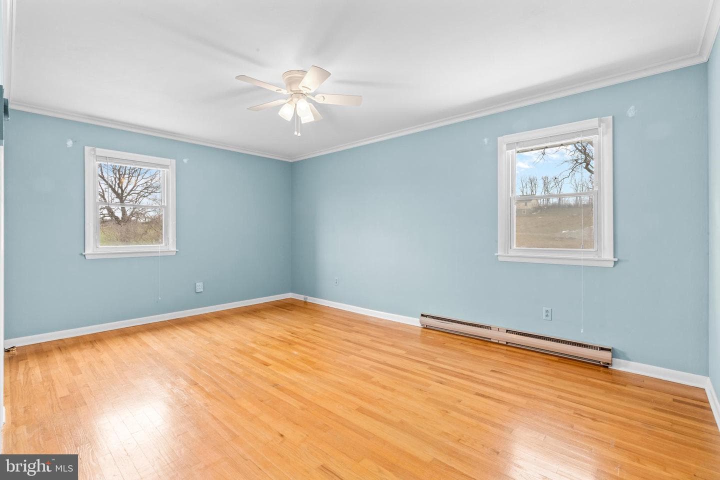 127 Watson Road photo 35