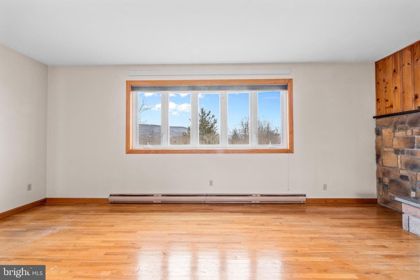 127 Watson Road photo 8