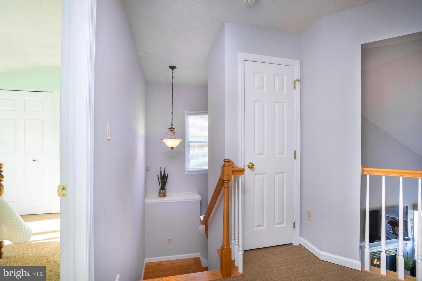 718 Tussey Lane photo 21