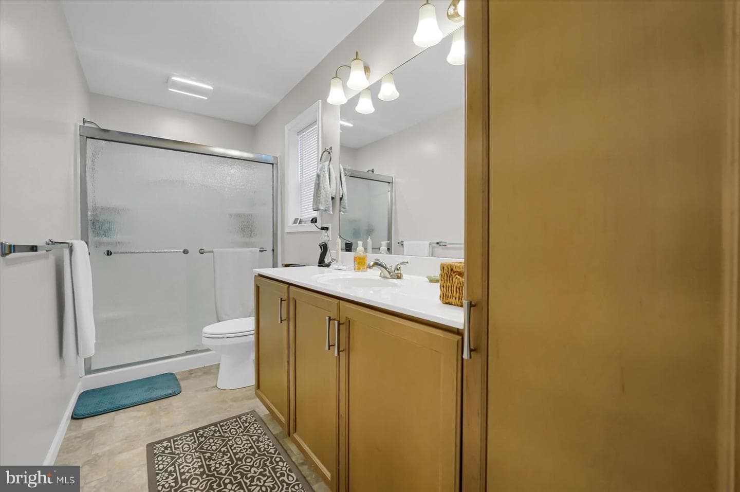 161 Amicus Drive photo 21
