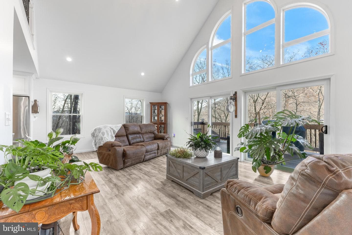 396 Whetstone Run photo 17