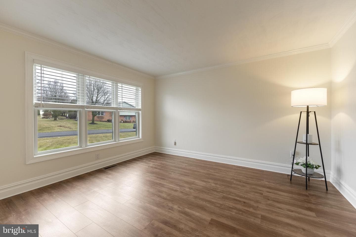 1020 W Springfield Drive photo 6