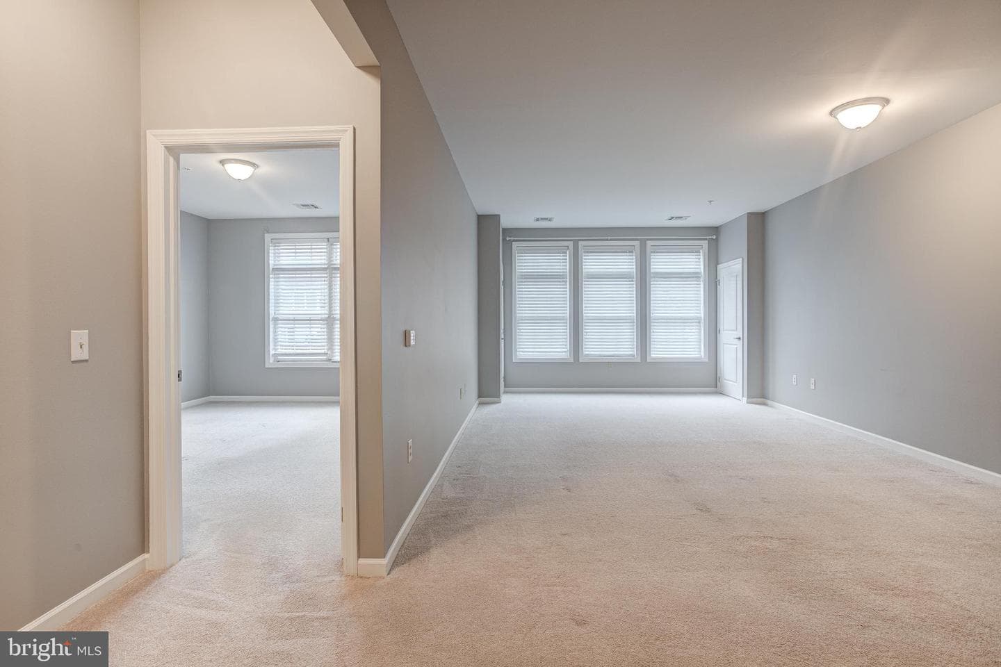 200 Jefferson Avenue #224 photo 10