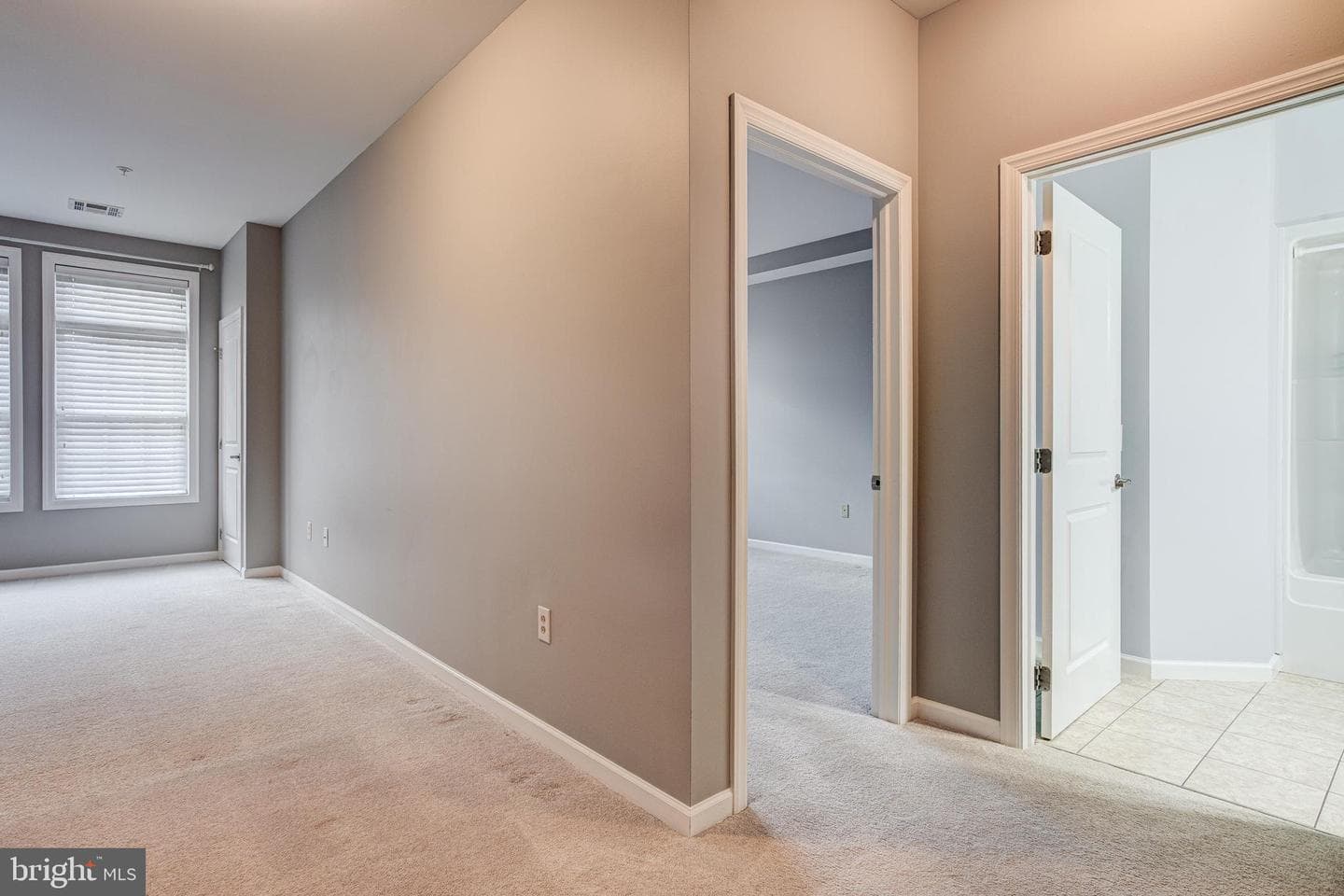 200 Jefferson Avenue #224 photo 16