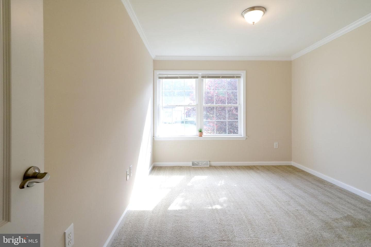 298 Timberwood Trail photo 32