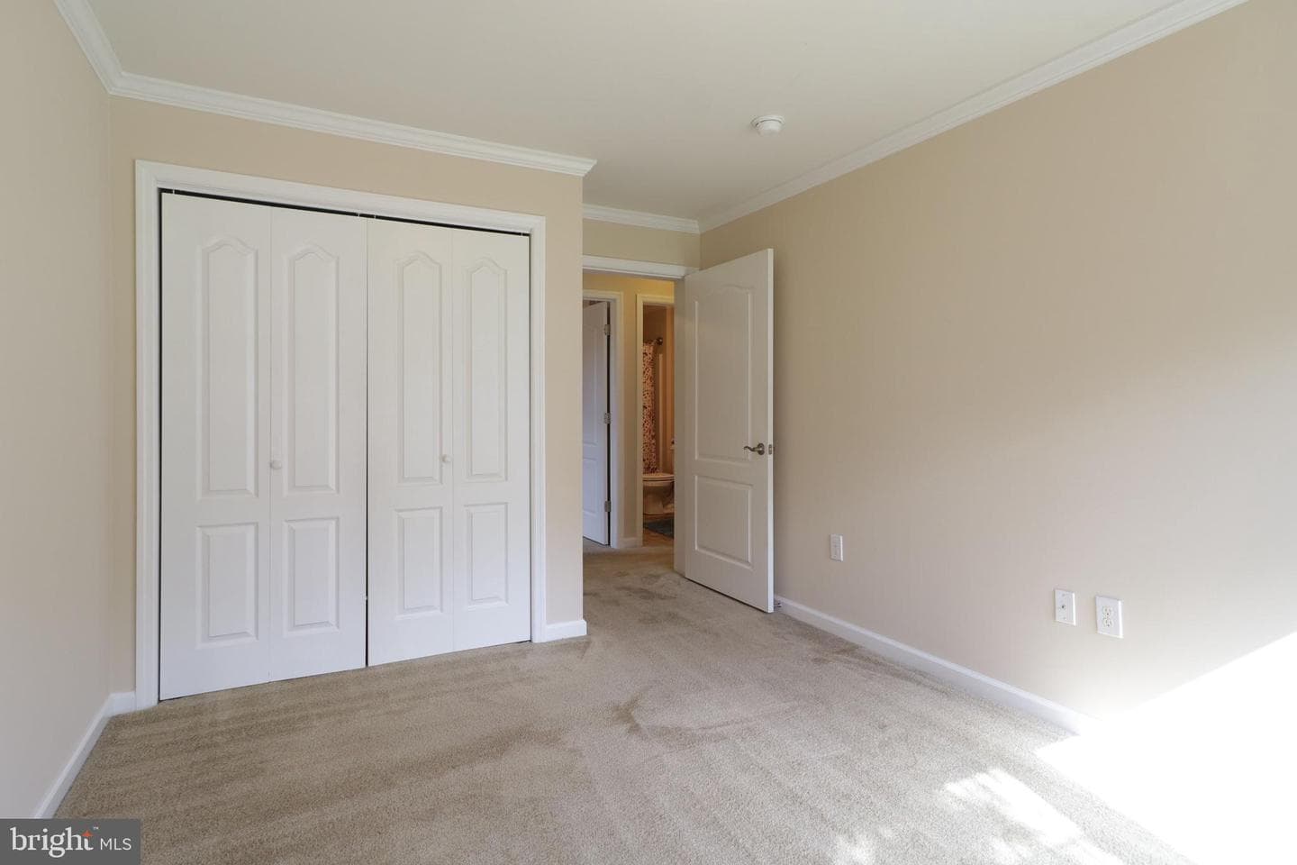 298 Timberwood Trail photo 33