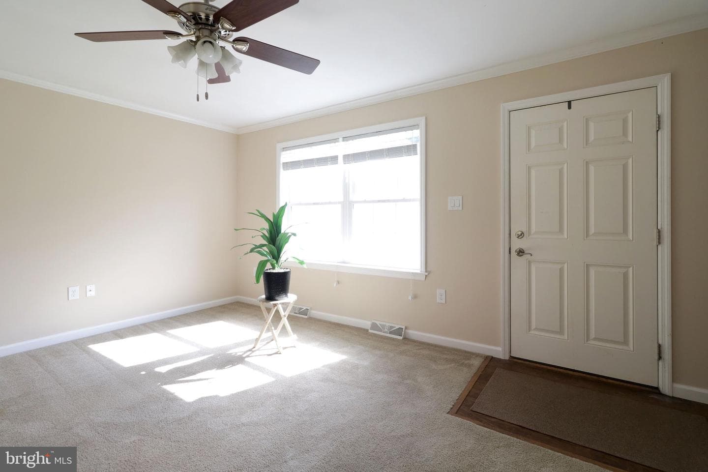 298 Timberwood Trail photo 7