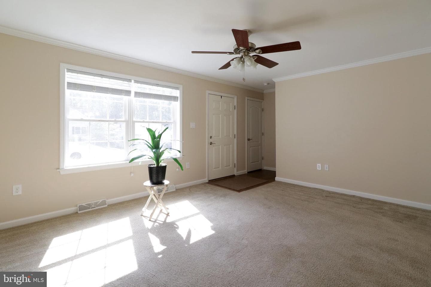 298 Timberwood Trail photo 8