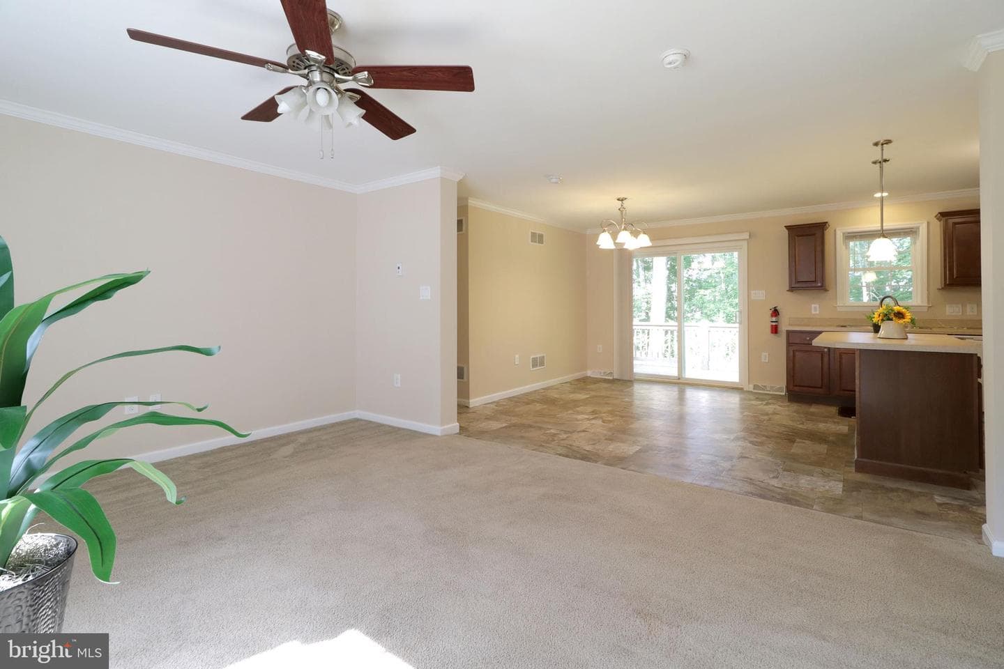 298 Timberwood Trail photo 9