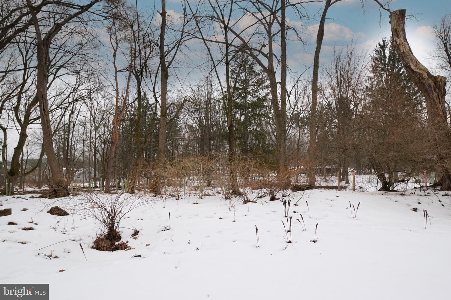 320 Loop Road photo 58