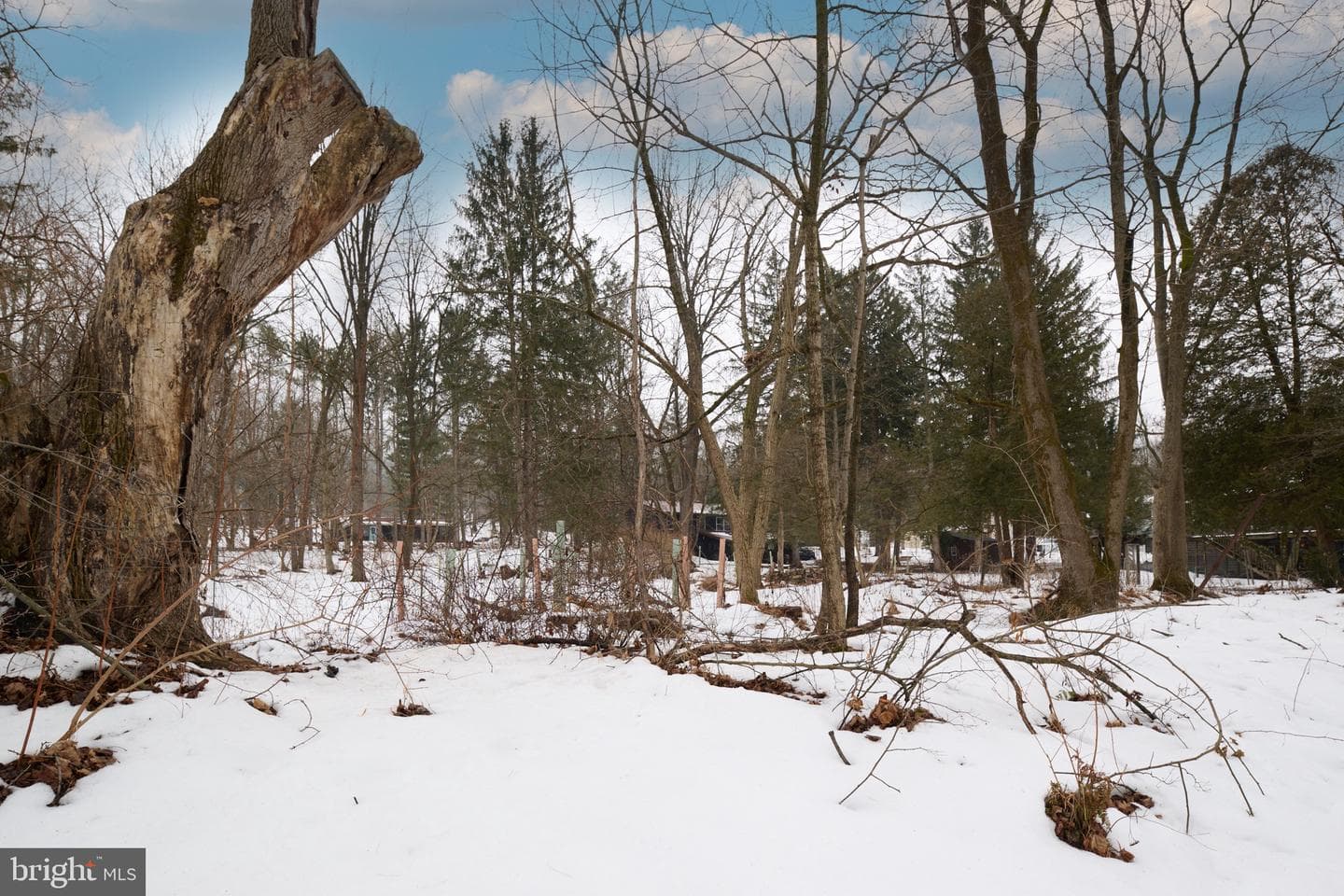320 Loop Road photo 60