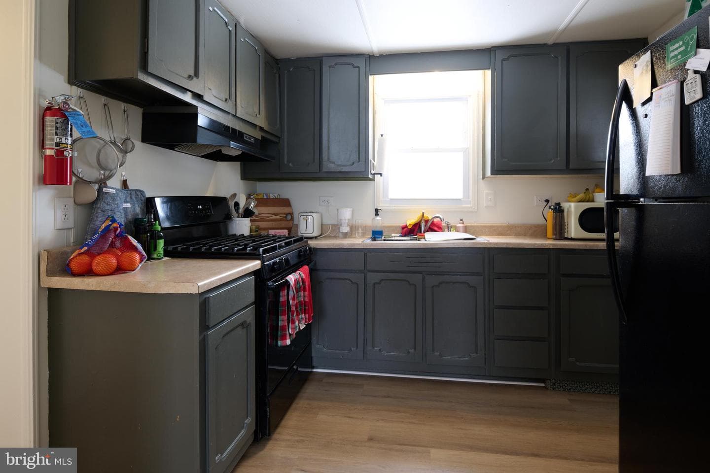 107 Edith Street photo 6