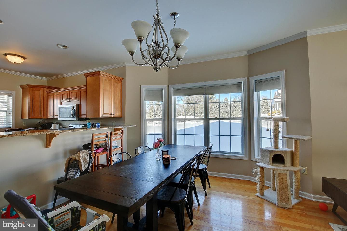 406 Stony Pointe Drive photo 20