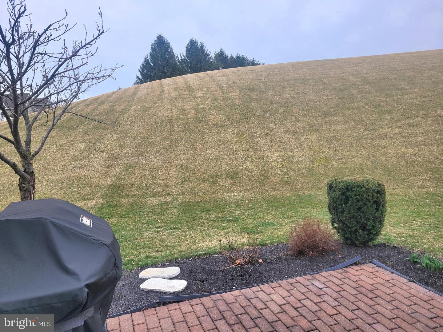 117 Glory Way photo 28