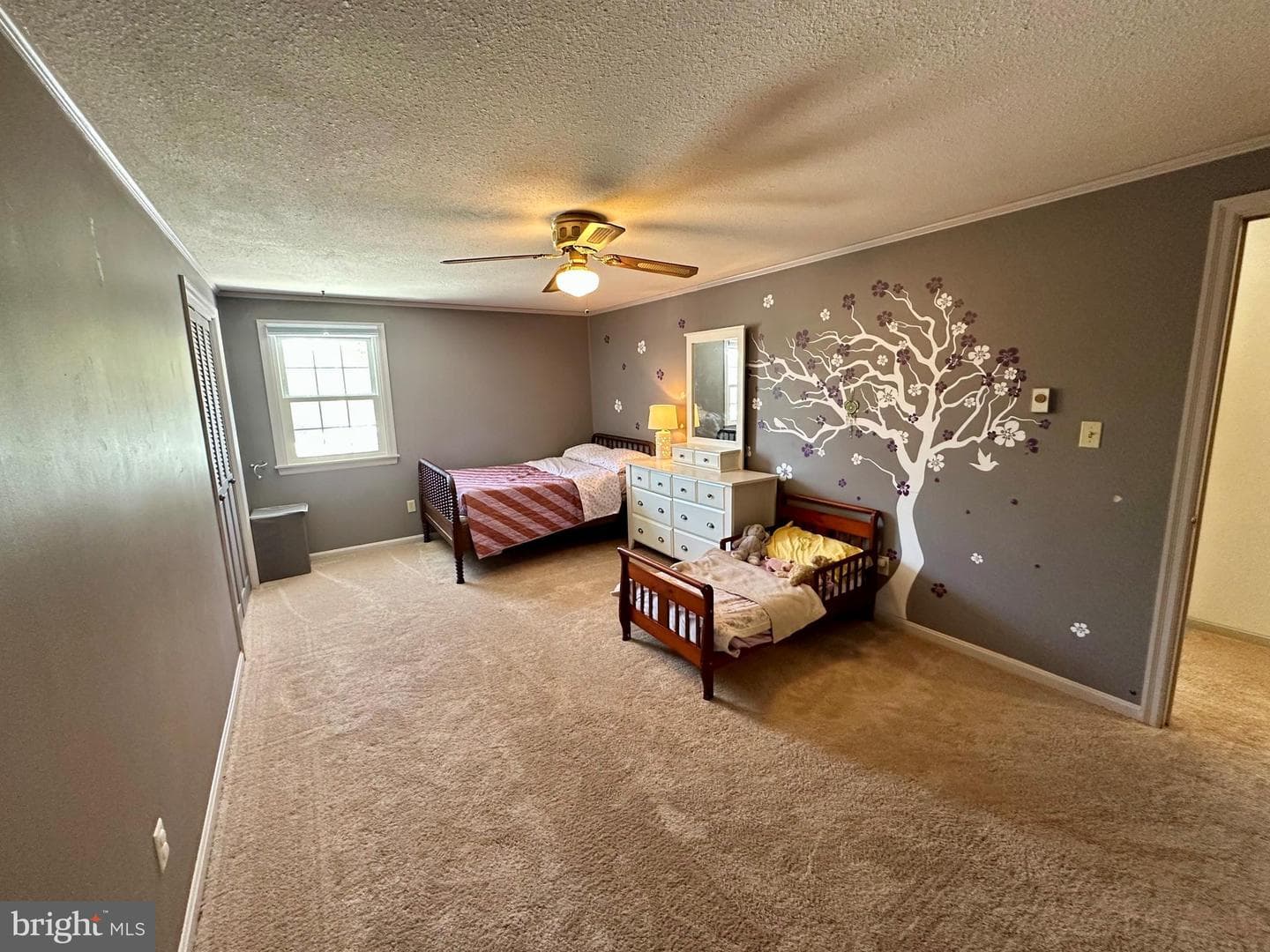207 Canterbury Drive photo 38