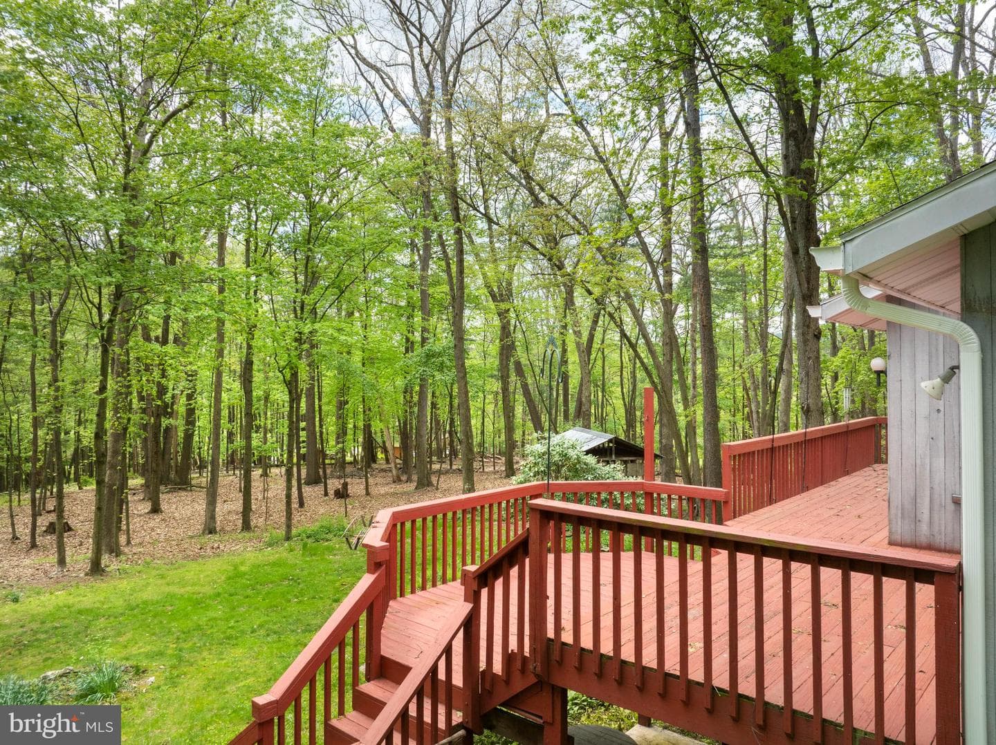 50 Toms Lane photo 5