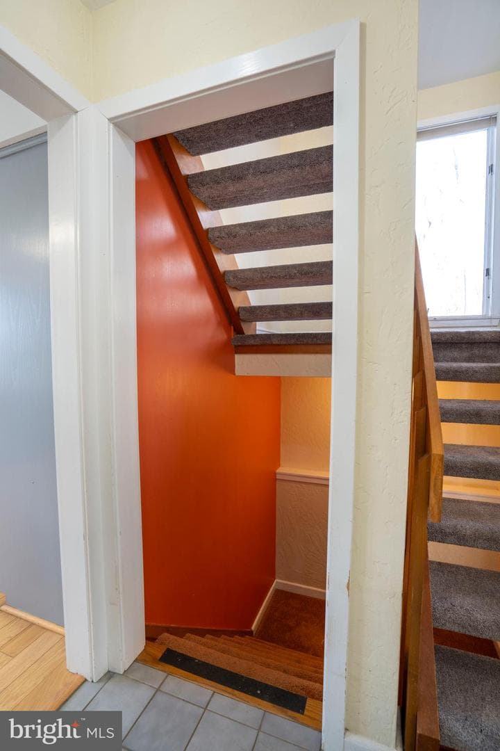 50 Toms Lane photo 57