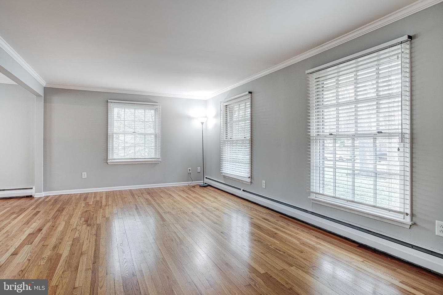 507 Shannon Lane photo 18