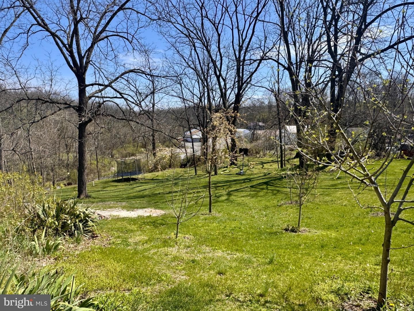 124 School House Drive photo 23