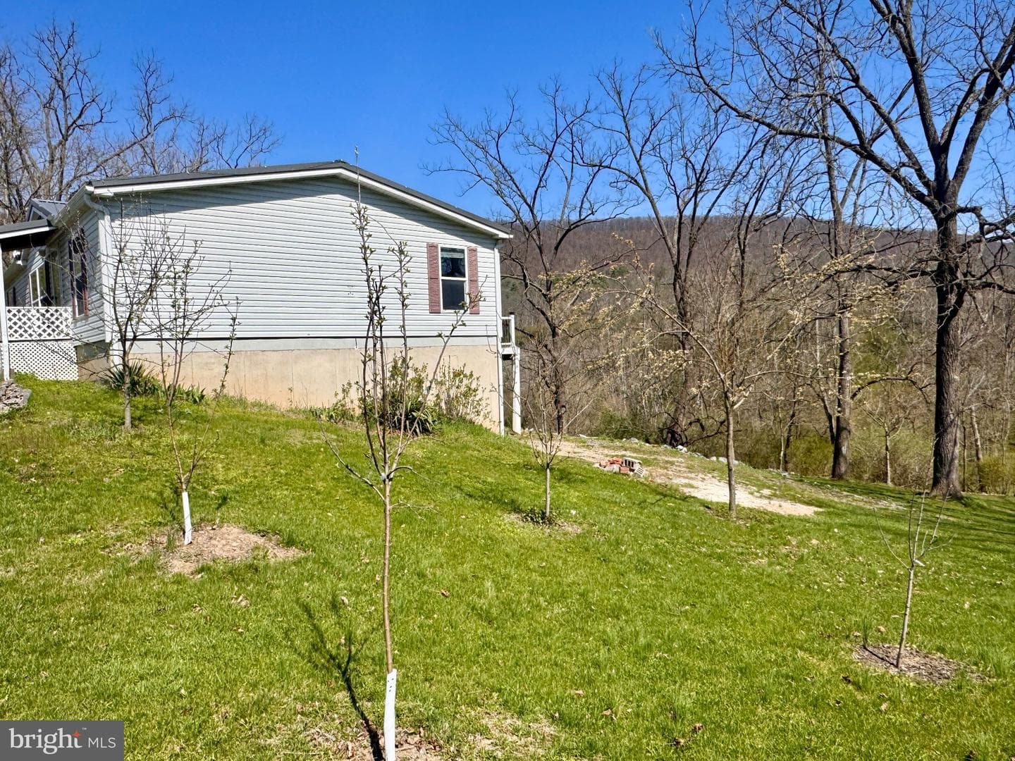 124 School House Drive photo 24