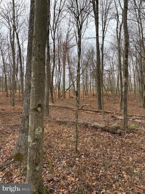 123 Rock Ridge photo 19