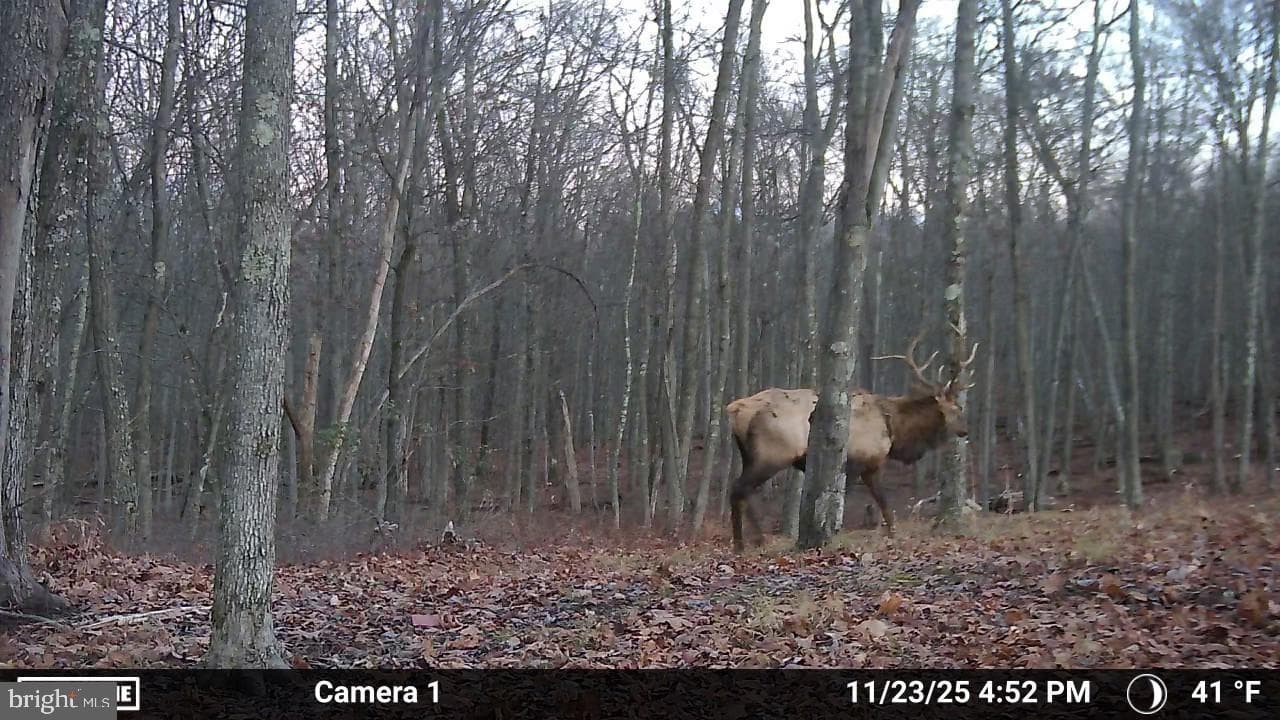 123 Rock Ridge photo 20
