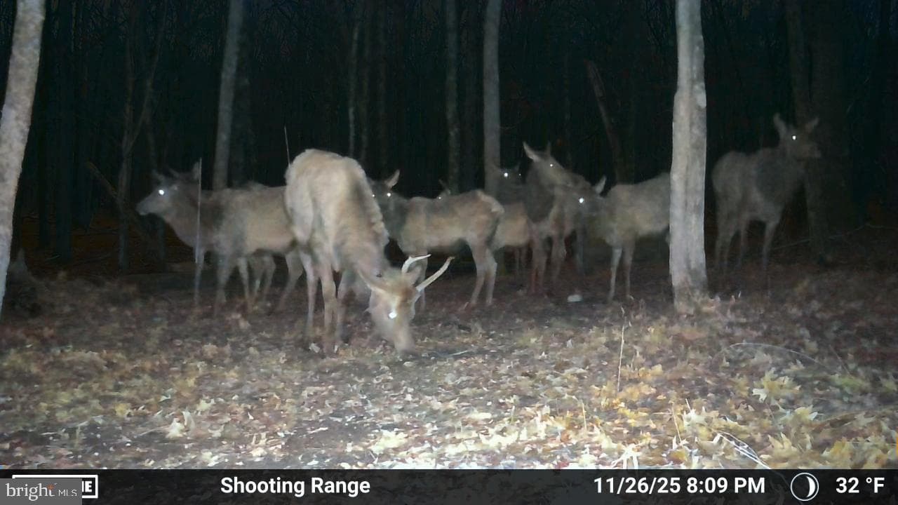 123 Rock Ridge photo 22
