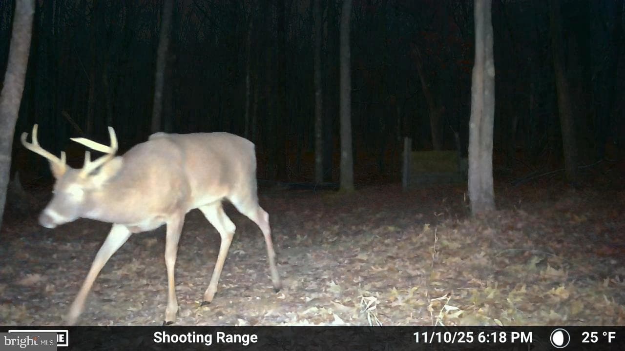 123 Rock Ridge photo 23